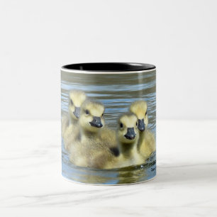Baby Tweekleurige Koffiemok