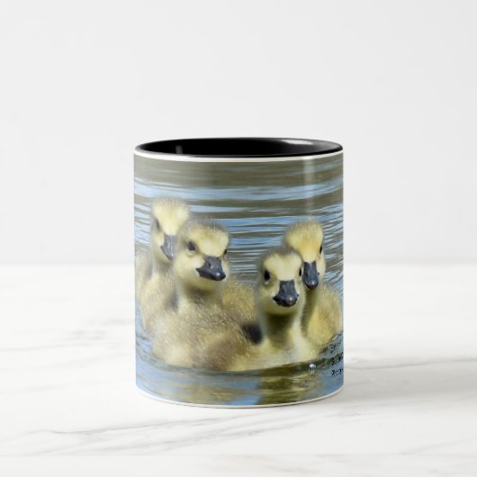 Baby Tweekleurige Koffiemok (Center)