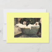  Baby Twin Aankondiging (Voorkant)