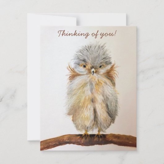 Baby Uil "Denken aan jou!"Opmerking Kaart terug is (Voorkant)