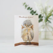 Baby Uil "Denken aan jou!"Opmerking Kaart terug is (Staand voorkant)
