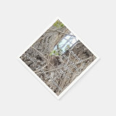 Baby Uil in Tree Iemand Afstuderen Wie Wie Servet (Hoek)