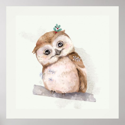 Baby Uil Poster (Voorkant)