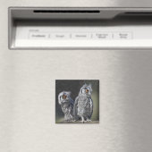 Baby Uilen Magneet (Insitu (Vaatwasser))