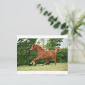 Baby uitvoeren briefkaart (Staand voorkant)