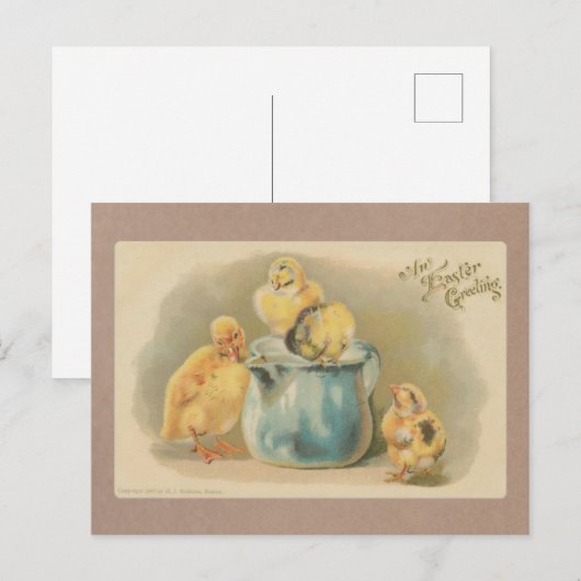  Baby van 1907 met melkpaasmakerij Briefkaart (Voorkant / Achterkant)