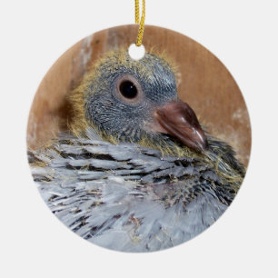Baby van duivenversiering keramisch ornament