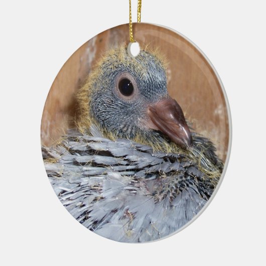 Baby van duivenversiering keramisch ornament (Links)