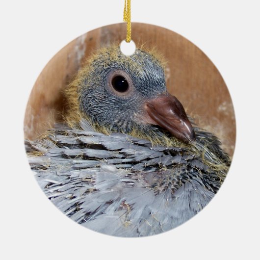 Baby van duivenversiering keramisch ornament (Achterkant)