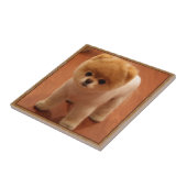 Baby van het Puppy van het Huisdier van de Hond Tegeltje (Zijkant)