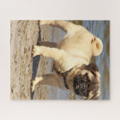 baby van onechte hond legpuzzel (Horizontaal)