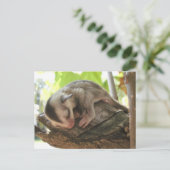 baby van suikerzweefster briefkaart (Staand voorkant)