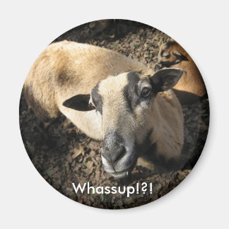 Baby van The Black Oak Ranch Magneet