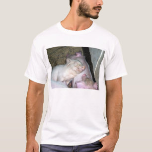 Baby varkens  t-shirt