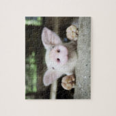 Baby varkensstapel in Pen, Varkensgier Legpuzzel (Verticaal)