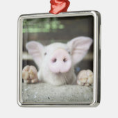 Baby varkensstapel in Pen, Varkensgier Metalen Ornament (Links)