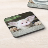 Baby varkensstapel in Pen, Varkensgier Onderzetter (Linkerzijde)