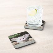 Baby varkensstapel in Pen, Varkensgier Onderzetter (Rechterzijde)