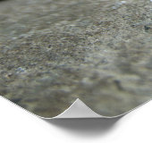 Baby varkensstapel in Pen, Varkensgier Poster (Hoek)