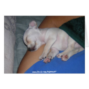 Baby Verbonden kaart.