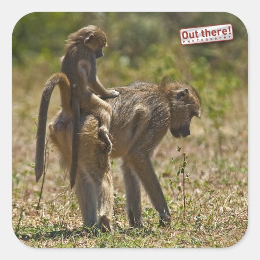 Baby-verzorging Vierkante Sticker (Voorkant)