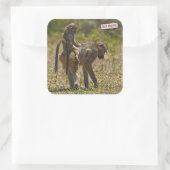 Baby-verzorging Vierkante Sticker (Tas)