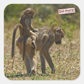 Baby-verzorging Vierkante Sticker