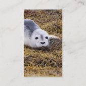 Baby Visitekaartjes voor havenzegel (Achterkant)