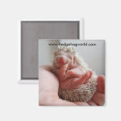 Baby voetmagneet magneet (Voorkant / Achterkant)