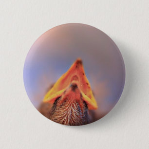 Baby Vogel 2 Ronde Button 5,7 Cm