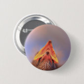 Baby Vogel 2 Ronde Button 5,7 Cm (Voorkant /achterkant)