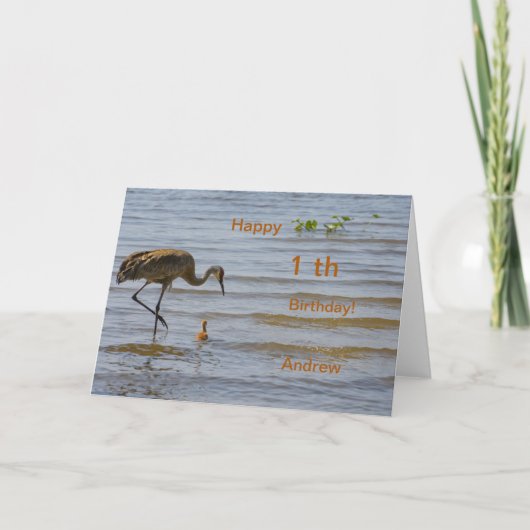 Baby vogel in het meer Happy 1th Birthday Aankondiging (Voorkant)