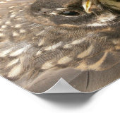 Baby vogel poster (Hoek)