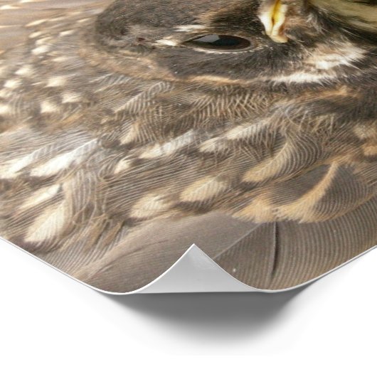 Baby vogel poster (Hoek)