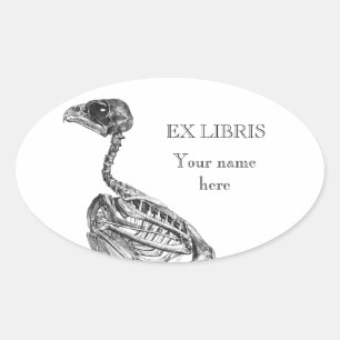  baby vogel skelet etsen ex libris ovale sticker