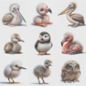 Baby Vogel Sticker (Voorkant)