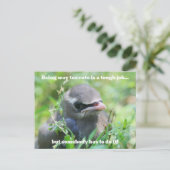 Baby Vogel Te Cute Humor Briefkaart (Staand voorkant)