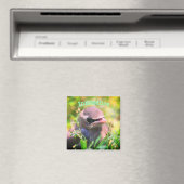 Baby-vogelbesmettingshaard Inspirerend Magneet (Insitu (Vaatwasser))