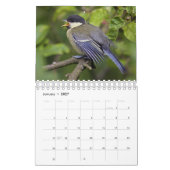Baby Vogelkalender Kalender (Jan 2027)