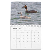 Baby Vogelkalender Kalender (Feb 2027)