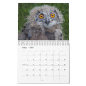Baby Vogelkalender Kalender (Mar 2027)