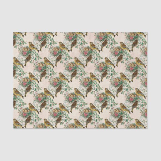 Baby Vogelnest Tissuepapier (Voorkant)