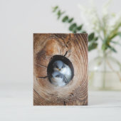 Baby vogels briefkaart (Staand voorkant)