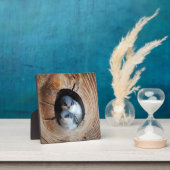 Baby Vogels Fotoplaat (Insitu)
