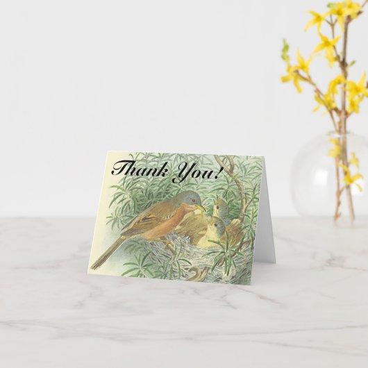 Baby Vogels in een Nest "Dank je!" Briefkaart (Gele Bloem)