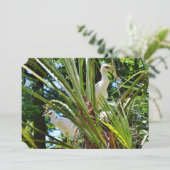 Baby Vogels Kaart (Staand voorkant)