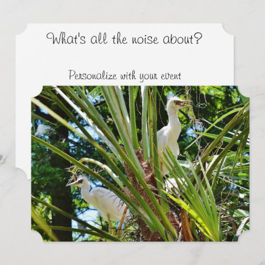 Baby Vogels Kaart (Voorkant / Achterkant)