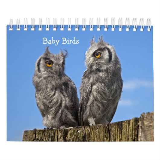 Baby Vogels Kalender (Hoes)