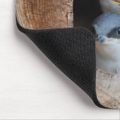 Baby vogels muismat (Hoek)