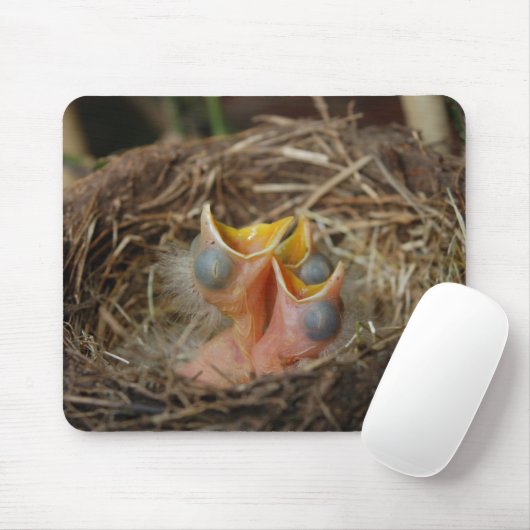 Baby vogels muismat (Met muis)